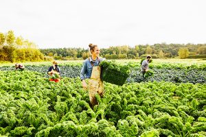 Read more about the article Hospitality Local Sourcing and Support for Local Suppliers: A Win-Win Approach for Sustainability and Community Impact